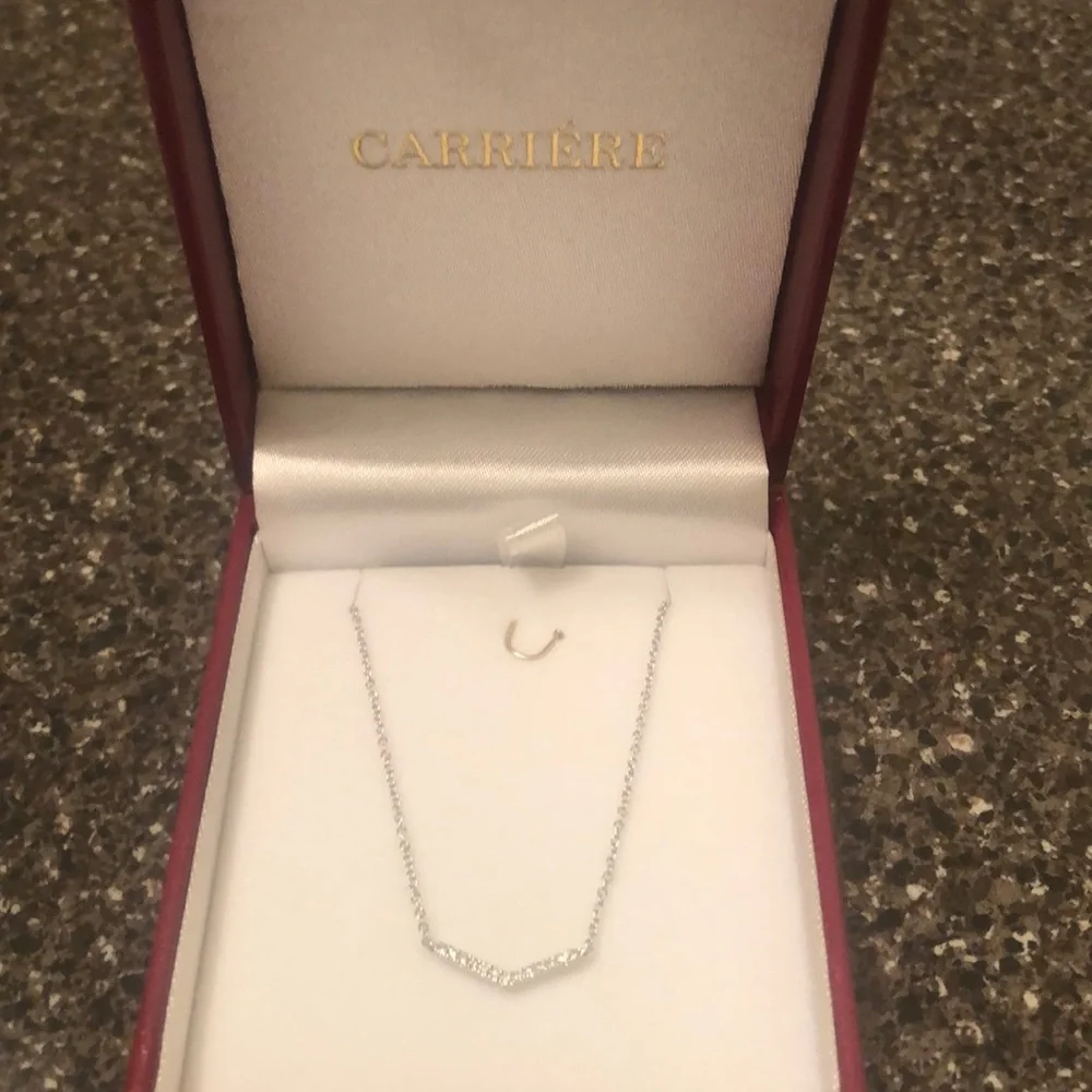 Carriere details sterling